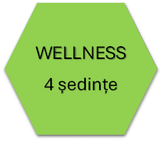 Abonament adulți wellness - 4 ședințe